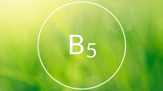 Vitamin B5 (Pantothenic Acid)