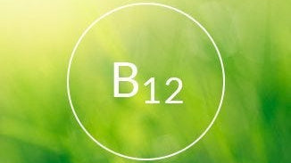 Vitamin B12 (Methylcobalamin)