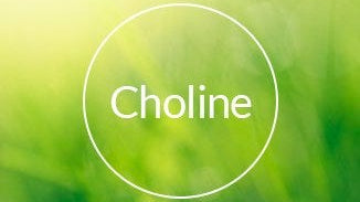 Choline