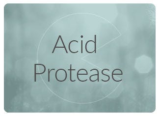 Acid Protease Enzyme