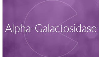 Alpha-Galactosidase Enzyme