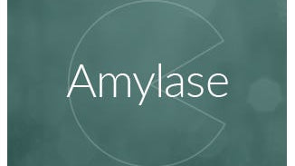 Amylase Enzyme