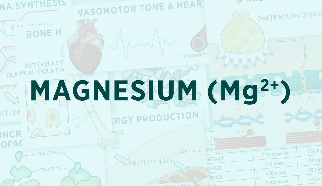 The Health Benefits of Magnesium
