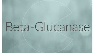 Beta-Glucanase Enzyme