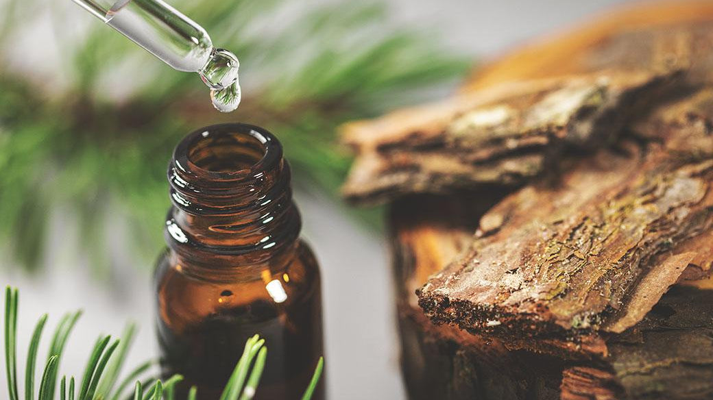 CO2 Extraction — Getting the Full-Spectrum of Botanical Benefits