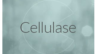 Cellulase Enzyme