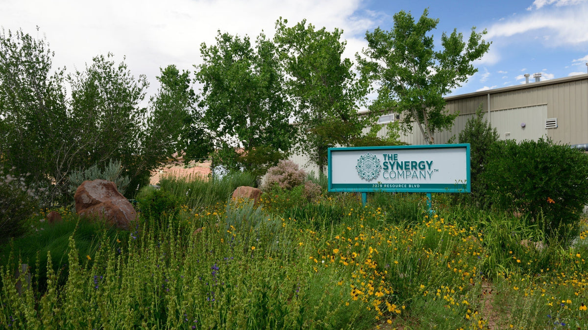 The Synergy Company Achieves B Corp™ Recertification with a Significant Score Increase