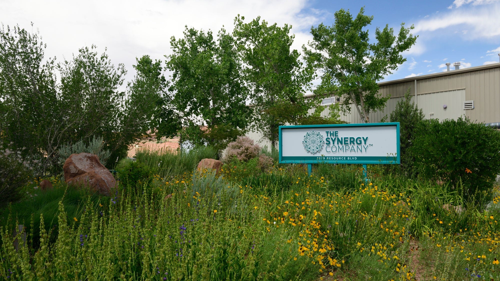 The Synergy Company Honored with Nutrition Business Journal Management Achievement Award