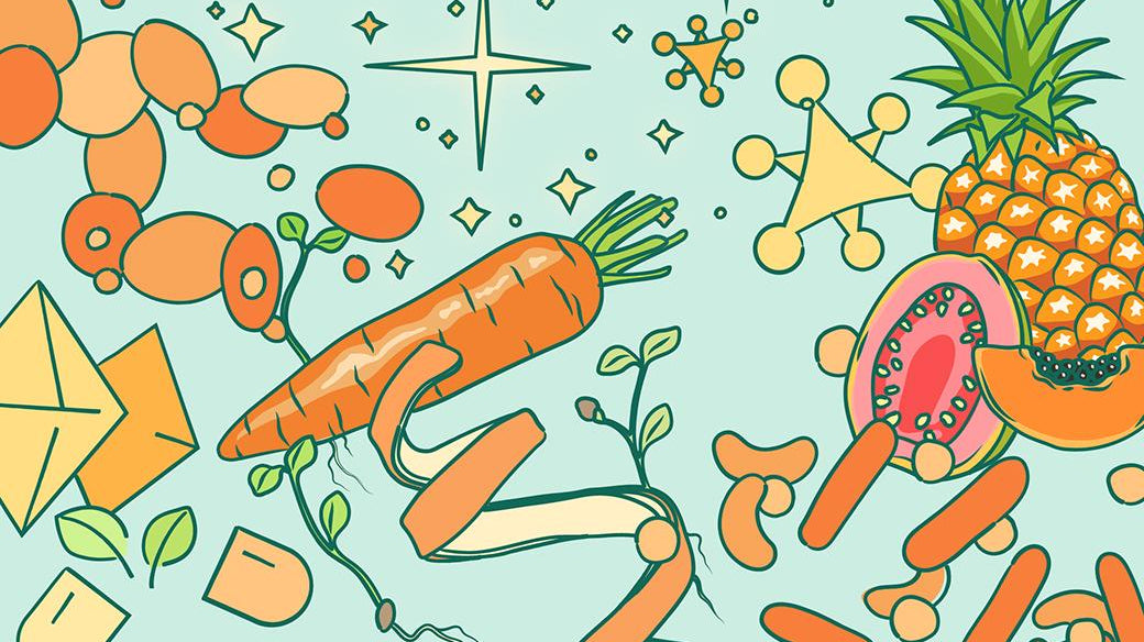 Fermented Vitamins Explained