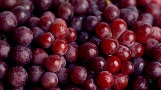 Red Wine Grape Concentrate