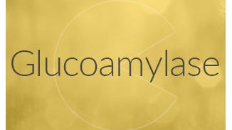 Glucoamylase Enzyme