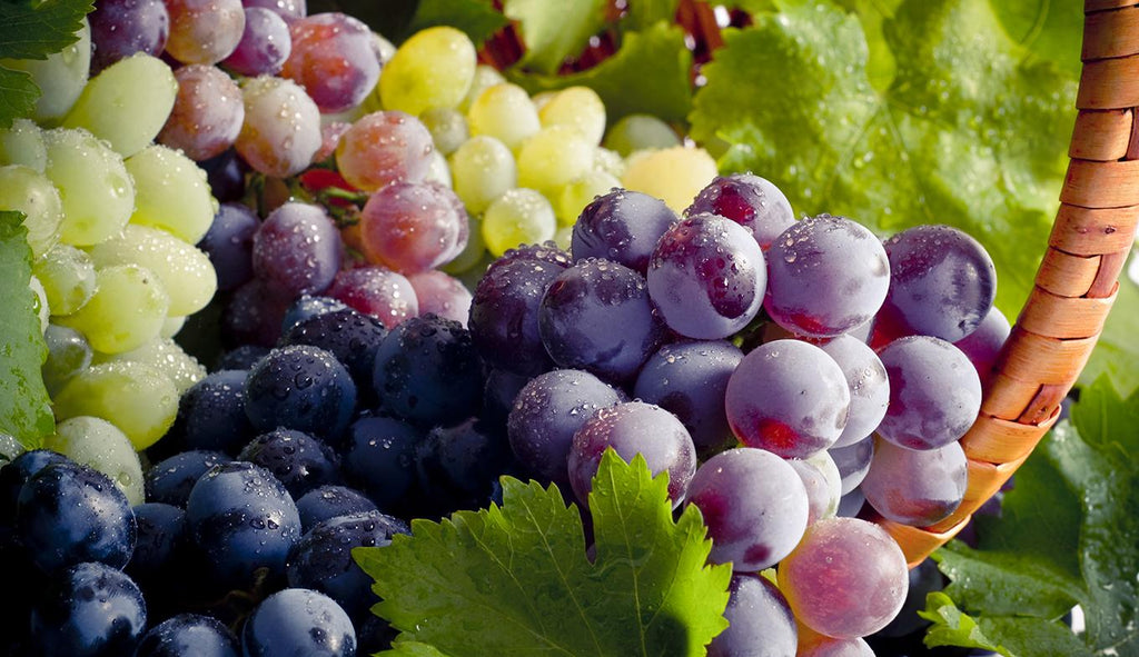 Benefits of Grape Seed Extract — Nature’s Master Multitasker