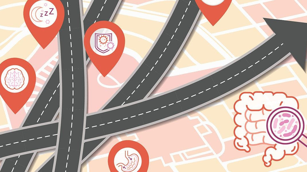 Your Body’s Roadmap: How to Improve Gut Health