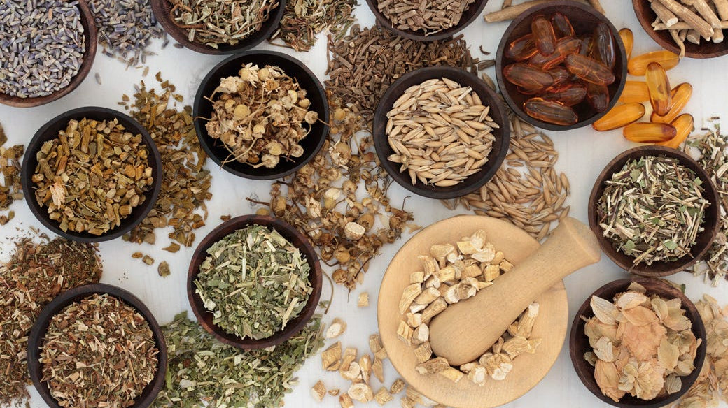 Adaptogens — Nature's Stress Busters