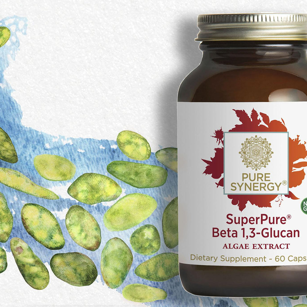 Beta 1,3 Glucan: Nature's Immune Mentor – Pure Synergy