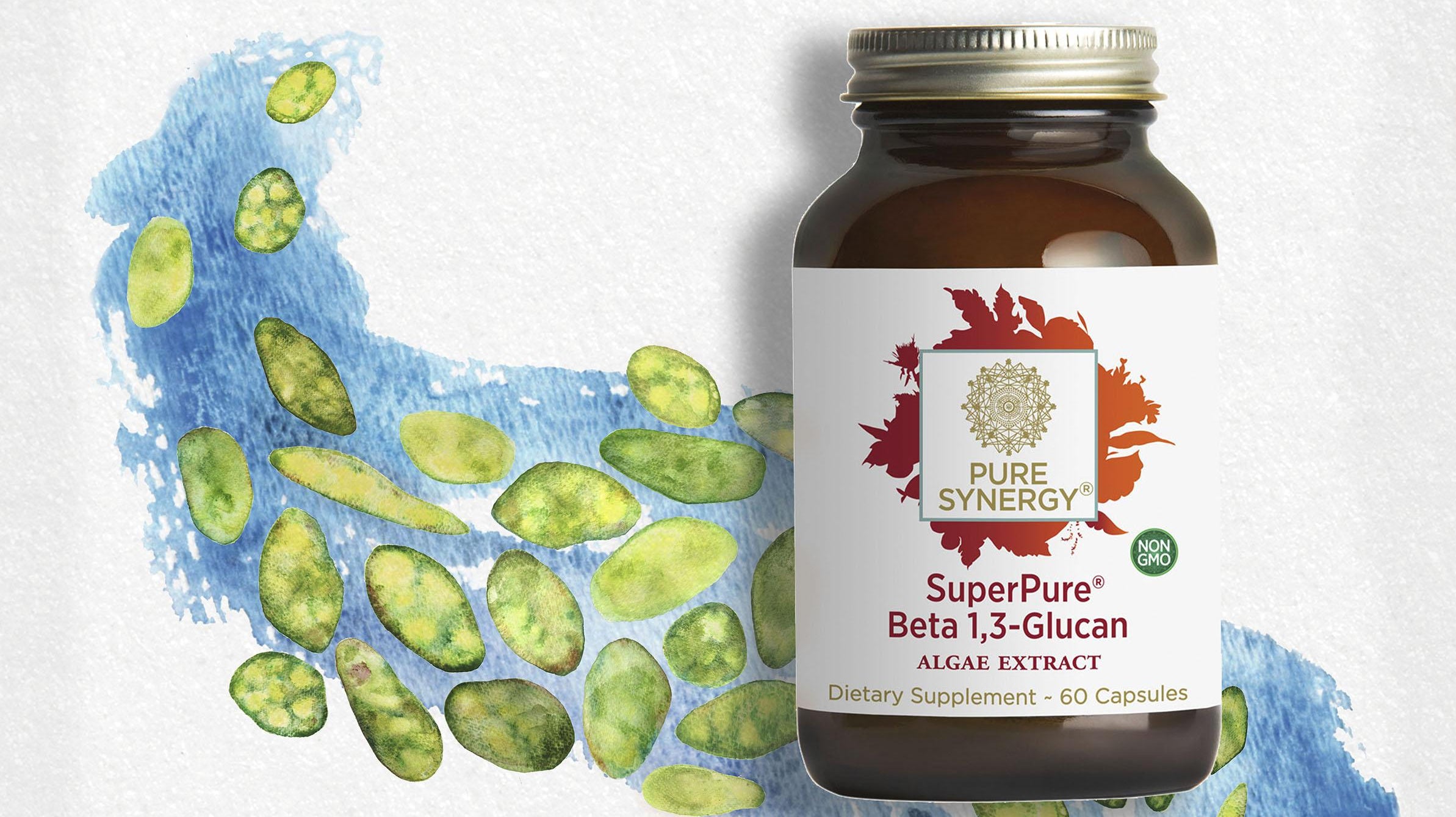 Beta 1,3 Glucan: Nature's Immune Mentor