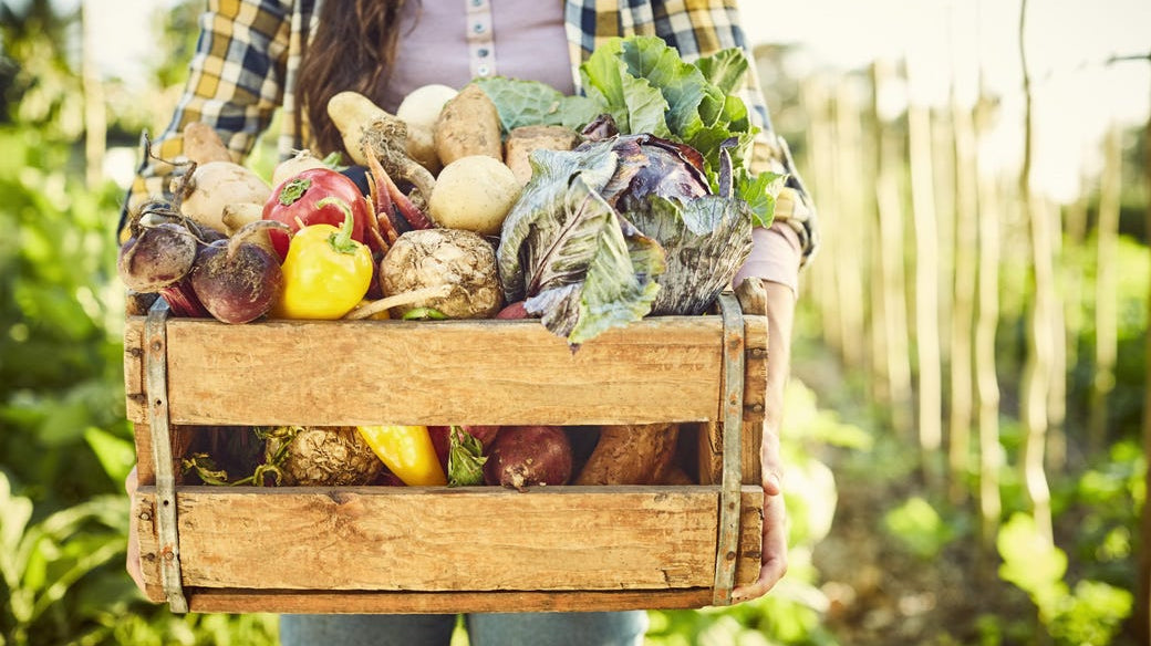 6 Reasons to Grow Your Own Food