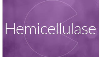 Hemicellulase Enzyme