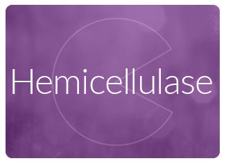 Hemicellulase Enzyme