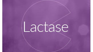 Lactase Enzyme