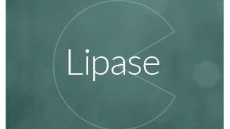 Lipase Enzyme