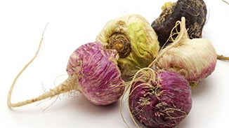 Maca Root