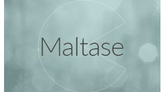 Maltase (Diastase) Enzyme