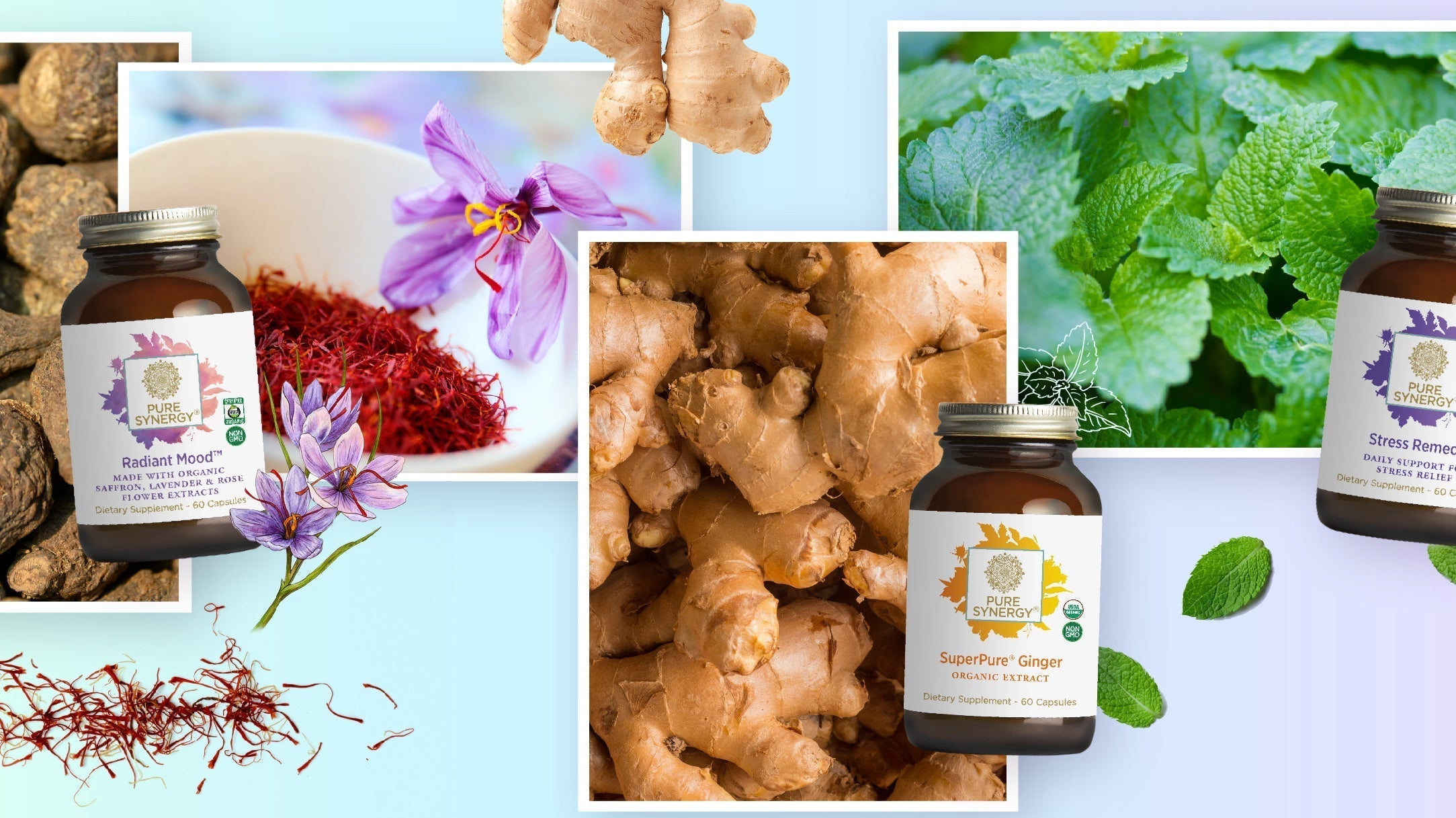 Radiant Mood, Ginger Extract, and Stress Remedy bottles with ingredient images.