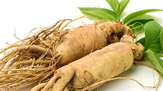 Panax Ginseng Extract
