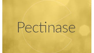 Pectinase Enzyme