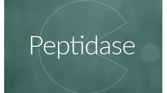 Peptidase Enzyme