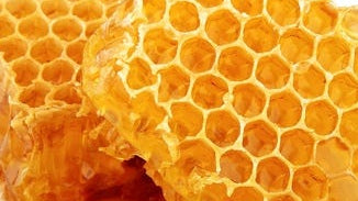 Propolis Extract
