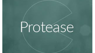 Protease Enzyme