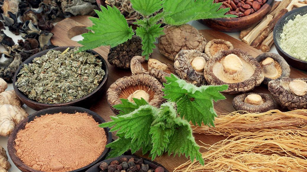 More Than a Multivitamin: A Deep-Dive Inside Our VITA•MIN•HERB® Formula