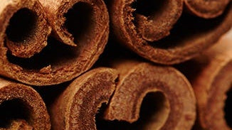 Cinnamon Bark