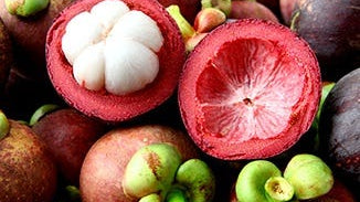 Mangosteen