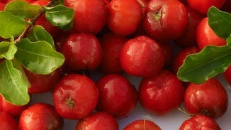 Acerola Cherry Extract