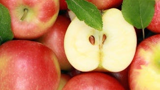 Apple Fruit