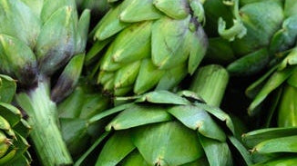 Artichoke Juice