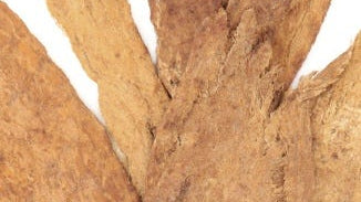 Astragaloside IV Extract