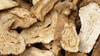 Atractylodes (Bai-Zhu) Rhizome Extract