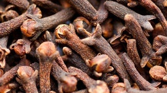 Clove Bud
