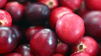 Cranberry