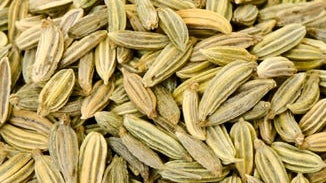 Fennel Seed