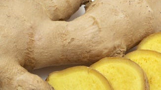 Ginger Rhizome Extract