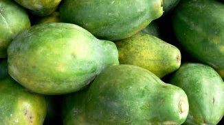 Green Papaya