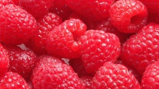 Red Raspberry