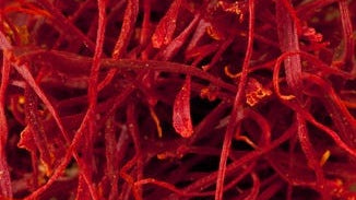 Saffron Flower Extract