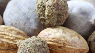 Triphala Fruit Extract