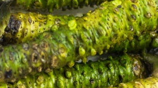 Wasabi Rhizome/Leaf